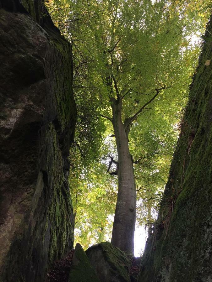 Pension Zum Golfstuebchen Echternacherbruck エクステリア 写真